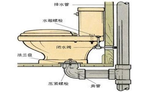 如何安裝馬桶|你知道馬桶的安裝方法，其實6個步驟就能搞定